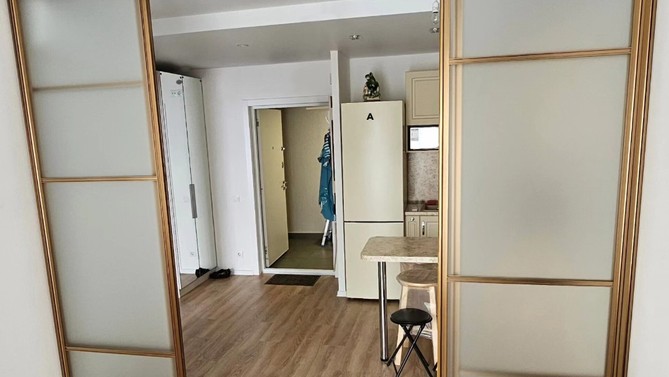 Перегородка в квартиру-студию Брусника, с матовым стеклом, в комнату, Арт.0260-01