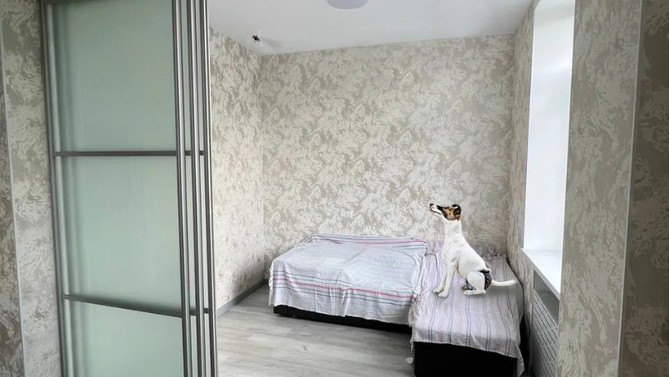 Межкомнатная перегородка Модус, с матовым стеклом, с доводчиком в спальню, Арт.0024-02