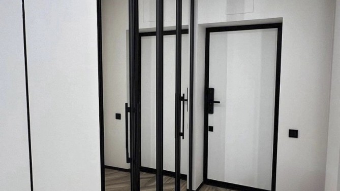 Складные двери Molteni, в прихожую, Арт.0331-04